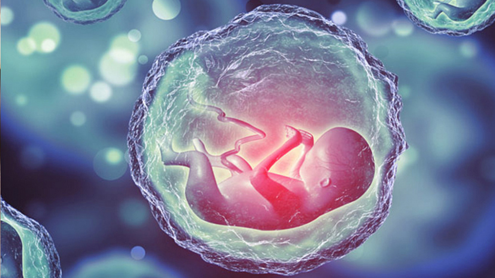 Предимплантационное генетическое тестированием эмбрионов: за и против